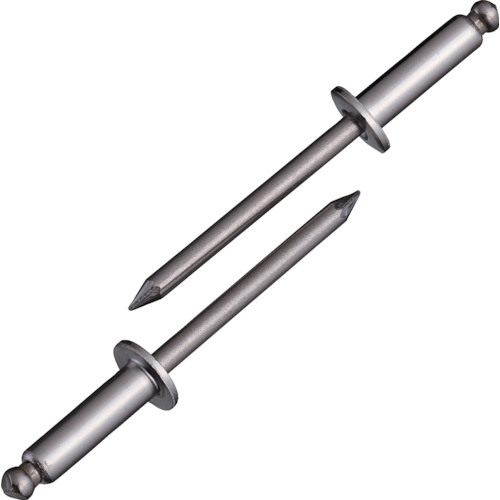 エビ NST612EB ブラインドリベット(ステンレス/ステンレス製) 6-12(150本入) エコBOX  リベット LOBSTER ロブテックス LOBTEXの通販は 12,100円