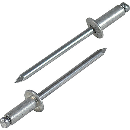 エビ NA88EB ブラインドリベット(アルミ/アルミ製) 8-8(100本入) エコBOX  リベット LOBSTER ロブテックス LOBTEX 5,302円