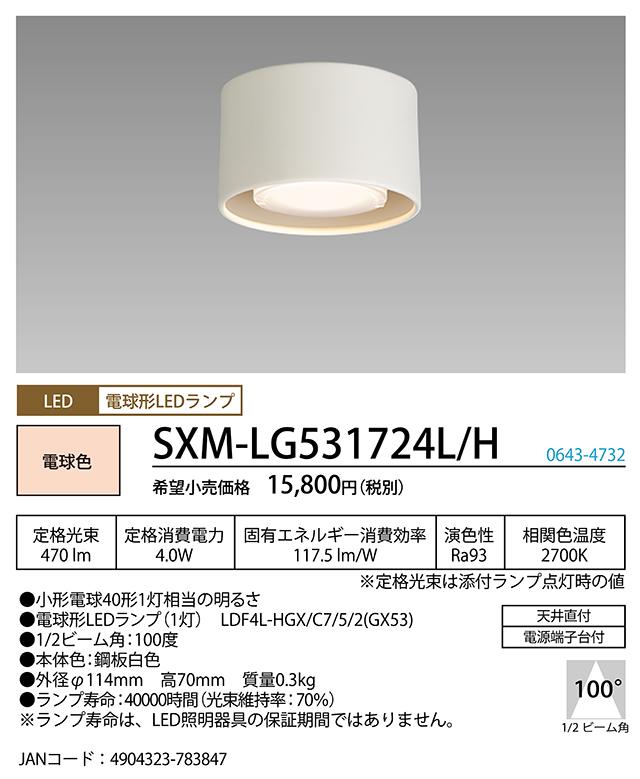 蛍クス SXM-LG531724L/H LED小型落ち込む最高限度 HotaluX