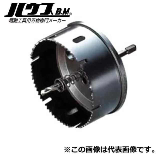 ハウスビーエム VU-100P プラマスホルソー ハウスBM