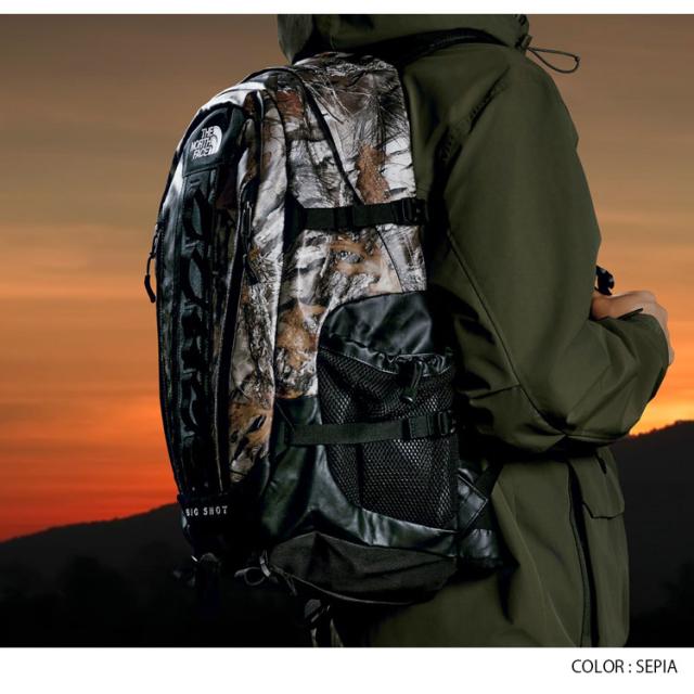 THE NORTH FACE ノースフェイス リュック BIG SHOT NOVELTY デイパック