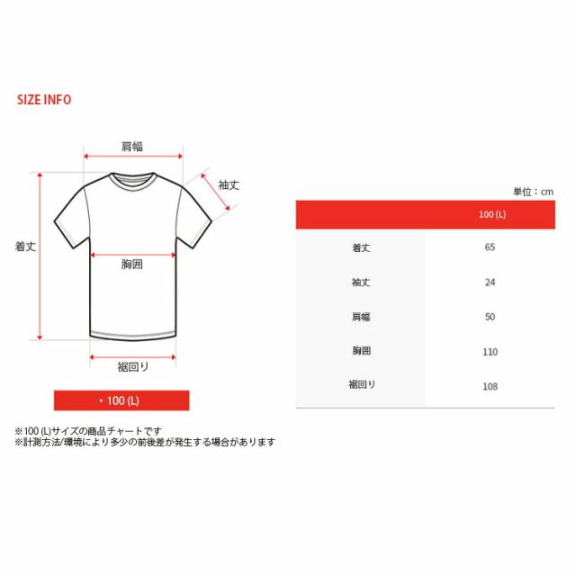 THE NORTH FACE ノースフェイス Tシャツ ERIUS S/SR/TEE WHITELABEL