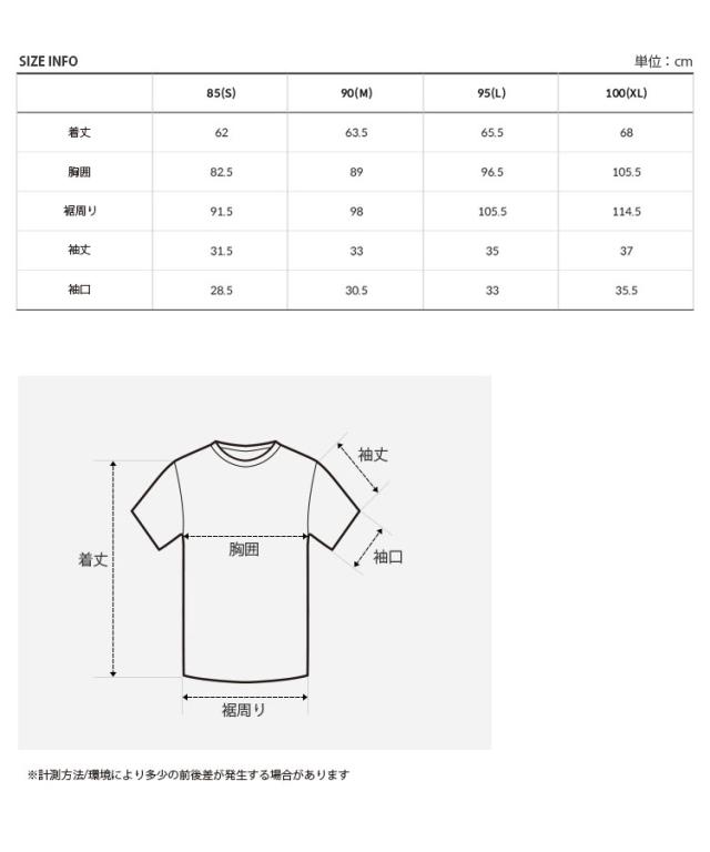 THE NORTH FACE ノースフェイス レディース Tシャツ W’S AO S/S R/TEE ティーシャツ 半袖 カットソー ロゴ 女性用 NT7UP30A/B/C_6
