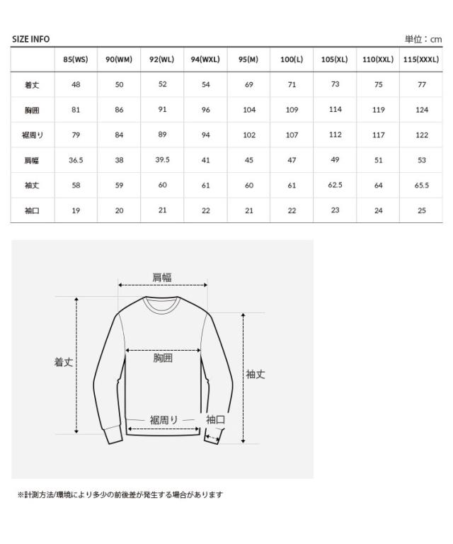 THE NORTH FACE ノースフェイス ロンT ICE VIBE L/S R/TEE ロング