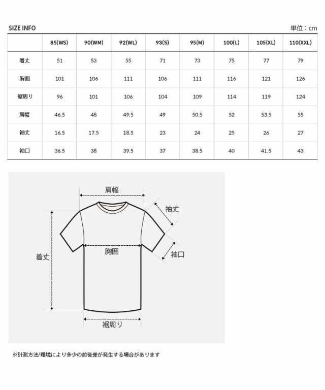 THE NORTH FACE ノースフェイス Tシャツ PATCHED LANE S/S R/TEE ショートスリーブ ティーシャツ 半袖 メンズ レディース NT7UQ13A/B/C