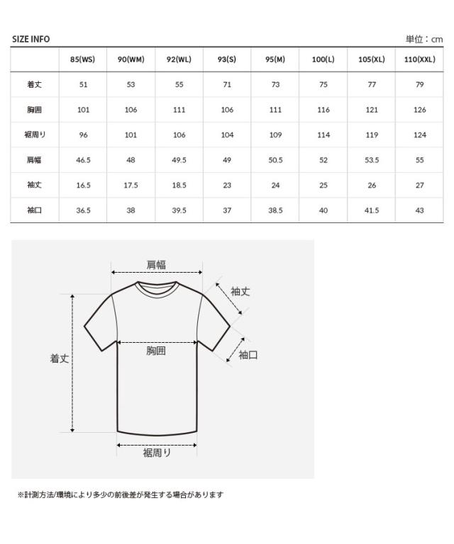 THE NORTH FACE ノースフェイス レディース Tシャツ PATCHED LANE S/S R/TEE ショートスリーブ ティーシャツ 半袖 女性用 NT7UQ13A/B/C_7