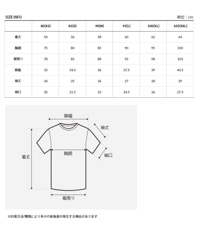 THE NORTH FACE ノースフェイス レディース Tシャツ W'S VERDI S/S TEE