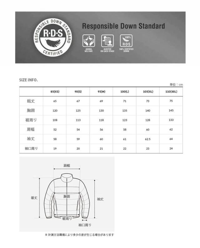 THE NORTH FACE ノースフェイス ダウンジャケット WAVE RDS DOWN