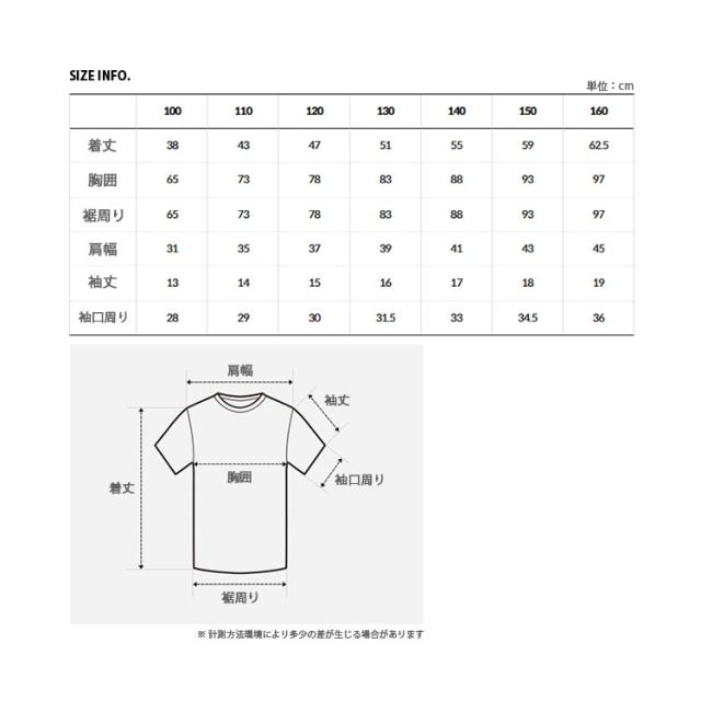 THE NORTH FACE ノースフェイス キッズ Tシャツ K’S GO-TO S/SR/TEE コットンTシャツ ベーシック ロゴ 半袖 ゆったりサイズ NT7UR02_7