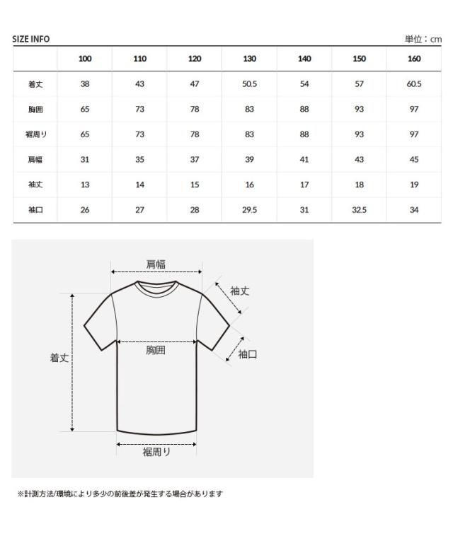 THE NORTH FACE ノースフェイス キッズ Tシャツ K’S RIVER MATE S/S R/TEE ティーシャツ 半袖 カットソー 子供用 NT7UR06S/T/U_6