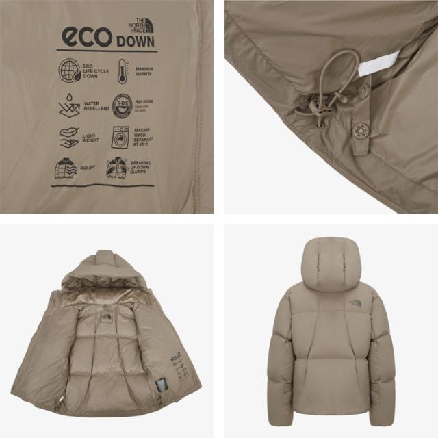 THE NORTH FACE ノースフェイス レディース ジャケット W’S SKYE DOWN JACKET RDS スカイダウンジャケット パーカー 一体型 NJ1DR87A/B/C_6