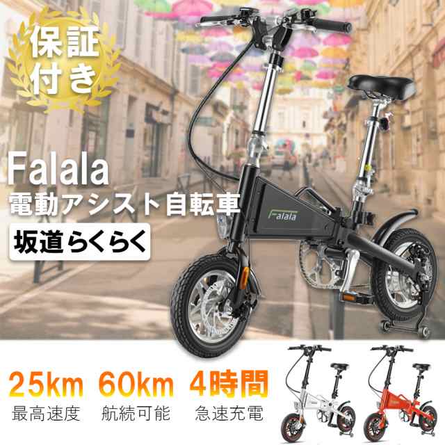 2極タイプ 【新品・簡単組立】 電動EV自転車「Laccoon」/バッテリー6AH