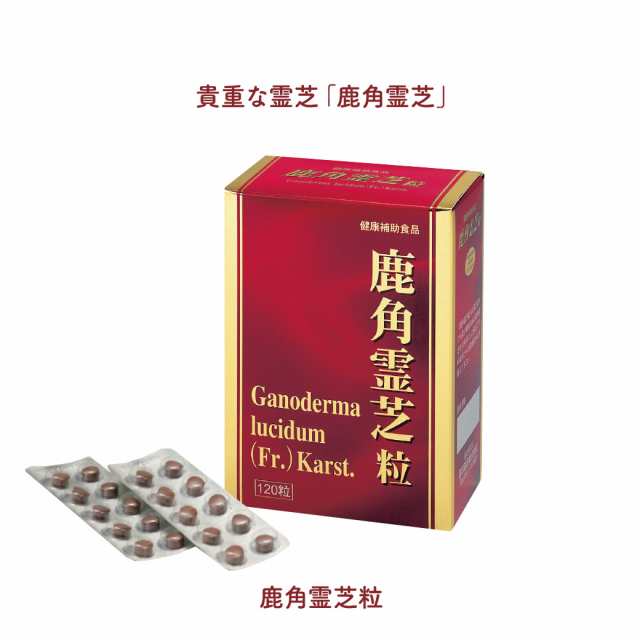 靈芝 REISHI 健康食品 霊芝 - 通販 - wayambaads.com