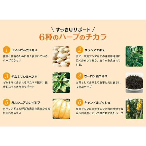 【送料無料】3倍ぱっくん分解酵母プレミアム（100粒入）×３箱セット！！人気の３倍ぱっくん分解酵母のお買い得パック♪ ダイエット_3