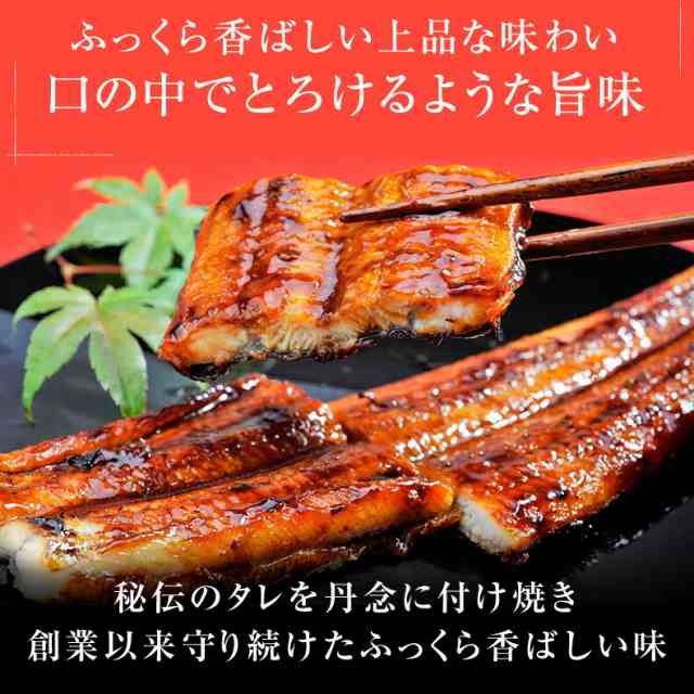 PAY　缶詰　マーケット　丸ごと一本蒲焼き　マーケット－通販サイト　魚耕　PAY　1缶　日本最後の清流、四万十川の恵みで育った自慢の鰻　の通販はau　四万十うなぎ　うなぎ　国内産　蒲焼き　au