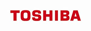Toshiba MK3265GSX 320GB,Internal,5400RPM,2.5"(中古品)