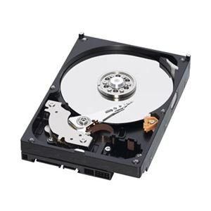 WESTERN DIGITAL 3.5インチ内蔵HDD 250GB SATA/6.0Gb 7200rpm 16MB WD2500AAKX-R(中古品)