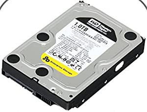 Western Digitalバルク1.0tb re3?SATA 7200?rpm HD (wd1003fbyx) -(中古品)