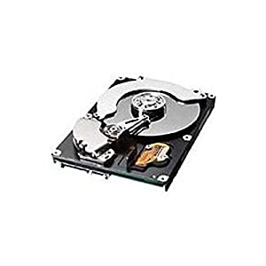 サムスン SP2504C SpinPoint P120 250 GB 7200 RPM 3.5インチ内蔵ハードドライブ (更新済み)(中古品)