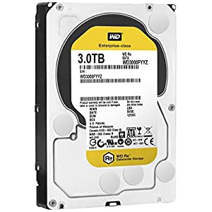 WESTERN DIGITAL WD3000FYYZ(中古品)