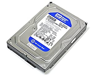 WesternDigital WD2500AAJS SATA3.5インチ 250GB 7200rpmタイプ(中古品)