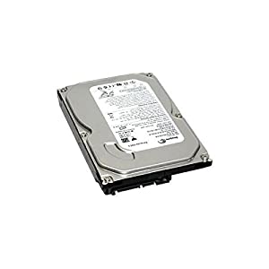 Seagate st31000340ns 1000?GB 7200rpm 3.5?SATAハードドライブ(中古品)
