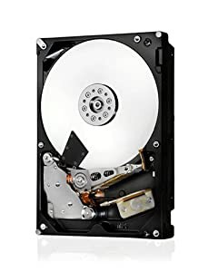 HGST Ultrastar 7K6000 HUS726040ALE610 4 TB 3.5インチ 内蔵ハードドライブ(中古品)の通販は