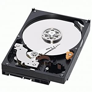 Western Digital RE3 Enterprise 250 GB 3.5-Inch, 16 MB Cache, 7200 RPM SATA II Bulk/OEM Hard Drive WD2502ABYS by Western