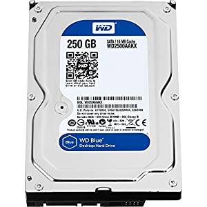 WESTERN DIGITAL WD2500AAKX Caviar Blue 250GB 7200 RPM 16MB cache SATA 6.0Gb/s 3.5 internal hard drive by Western Digital