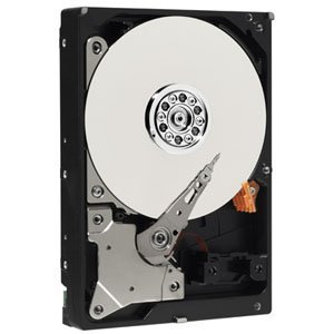 Western Digital AV-GP WD3200AVVS 320 GB 3.5" Internal Hard Drive (WD3200AVVS) - [並行輸入品](中古品)