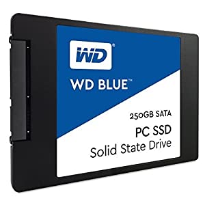 WD Blue 250GB Internal SSD Solid State Drive - SATA 6Gb/s 2.5 Inch - WDS250G1B0A(中古品)
