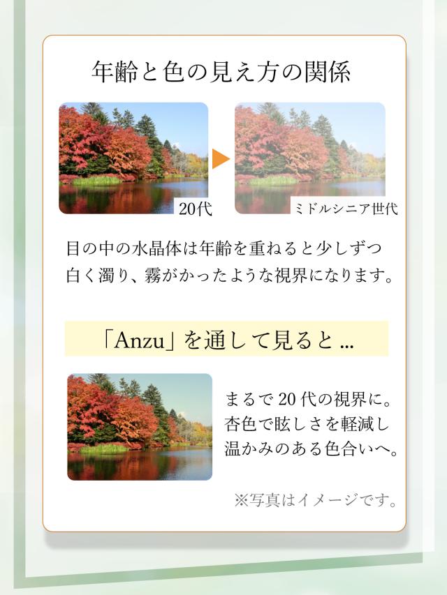 リム受け答え 黒眼鏡 薄べったい色 格好のいい レディース uvはね除ける 紫外線はね除ける ブルーライトカット 日本製水晶体 鯖江計画すること ふちなし 眼鏡 度なし βチタン 軽さ ツーポイント 可視性晴れ晴れしい REFLET RF-003