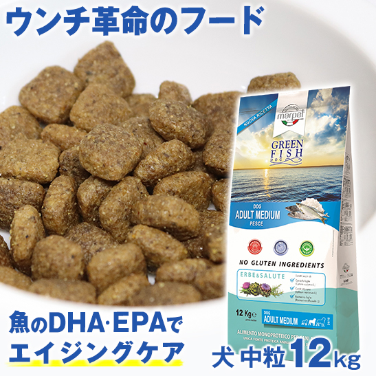 ペット 犬用品 ドッグフード ウンチ革命のフード 獣医師推奨 グリーンフィッシュ 犬 中粒 12kg 魚 の EPA DHA で 賢く 認知