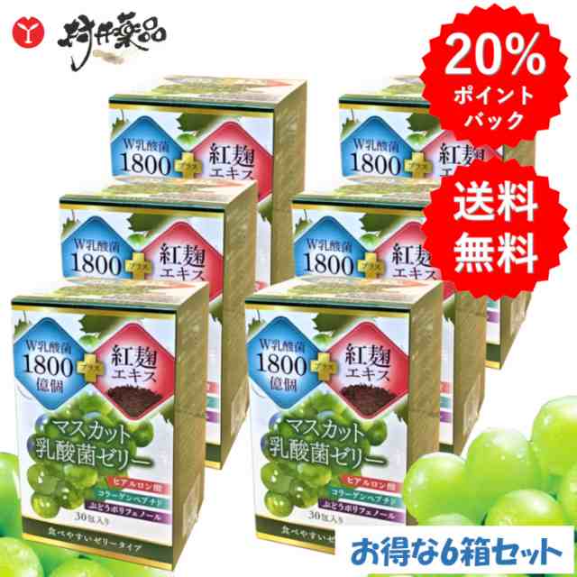 マスカット 乳酸菌 ゼリー 30日分 30本 (1本/日) ×6個 腸活 食物繊維 腸内フローラ 紅麹 エキス FK-23 EC-12 ヒアルロン酸 コラーゲンペ