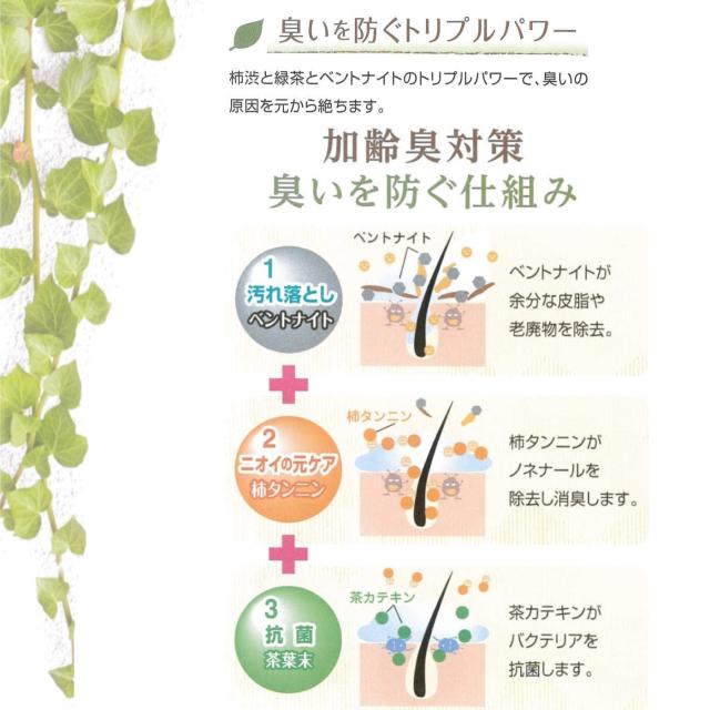 スカルプ オールインワン 柿渋 オイルシャンプー 600mL ×6本 ノン