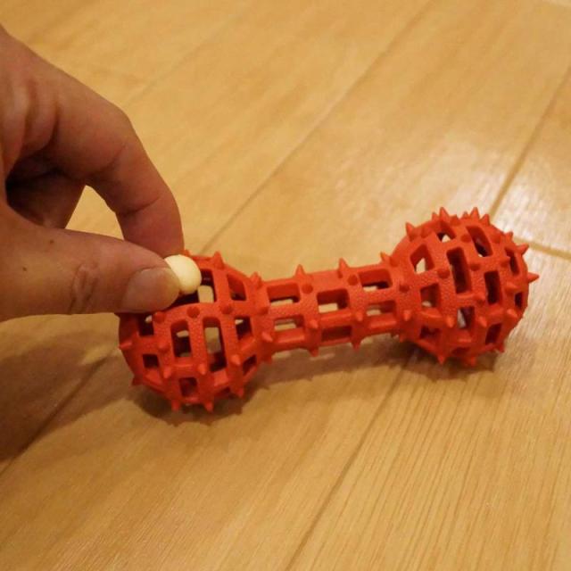 【セット販売】 ドギーマン(Doggy Man) カムガムアミーバーダンベル M (×12セット) ドギーマンハヤシ_2