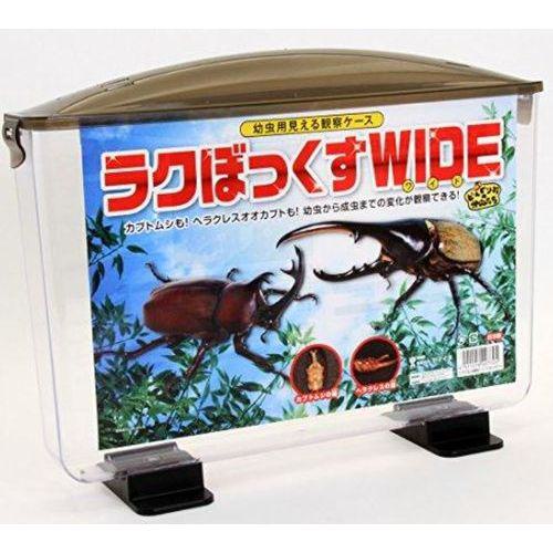Fun Adventures [DVD] [Import](中古品)の通販は