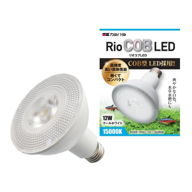 【セット販売】 カミハタ リオコブ LED クールホワイト 12W (×2セット) 神畑養魚用品
