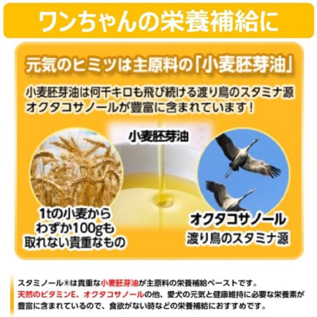 【ケース販売】 スタミノール 食欲S33g (×24セット) アース・ペット