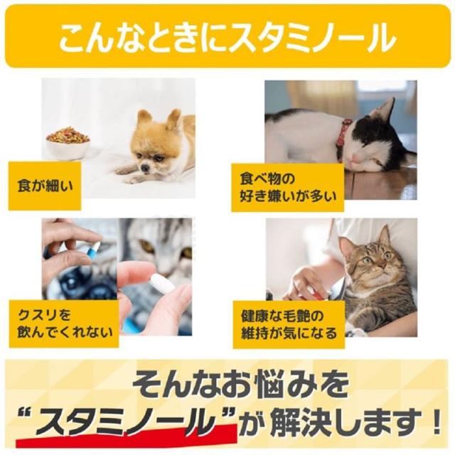 【ケース販売】 スタミノール 食欲S33g (×24セット) アース・ペット
