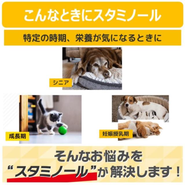 【ケース販売】 スタミノール 食欲S33g (×24セット) アース・ペット