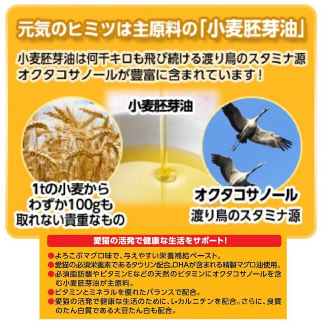 【ケース販売】 スタミノール 猫スタミノール食欲50g (×10セット) アース・ペット_4