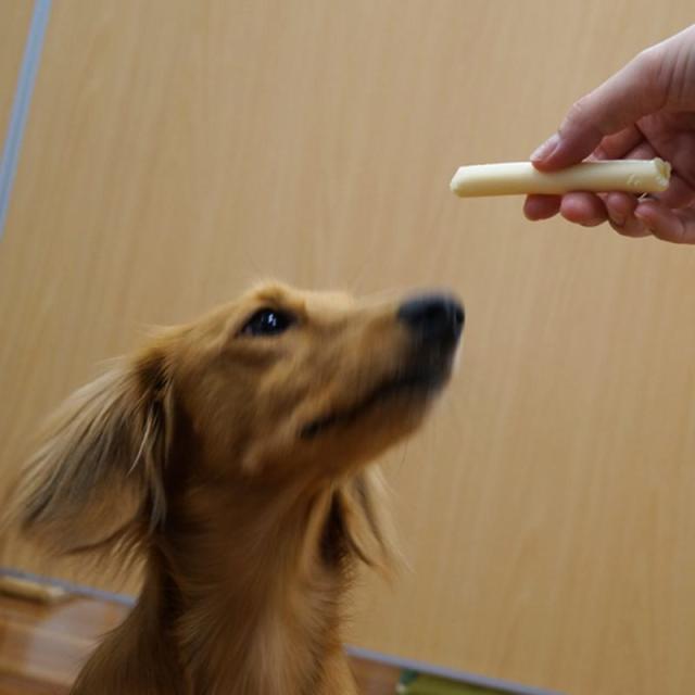 【ケース販売】 ドギーマン(Doggy Man) ドギーチーズお徳用 17本 (×36セット) ドギーマンハヤシ_3
