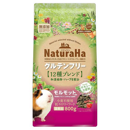 【ケース販売】 ナチュラハ ナチュラハ グルテンフリー 12種ブレンド モルモット 800g (×12セット) マルカン