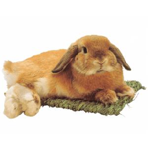 【ケース販売】 わらっこ倶楽部 うさぎの座布団 M (×36セット) 川井