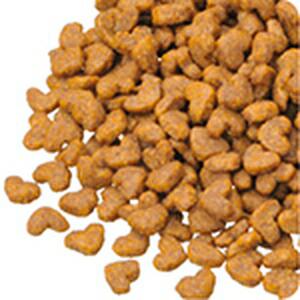 【ケース販売】 日本ペットフード ビューティープロ キャット子猫用1.5kg (×8セット)