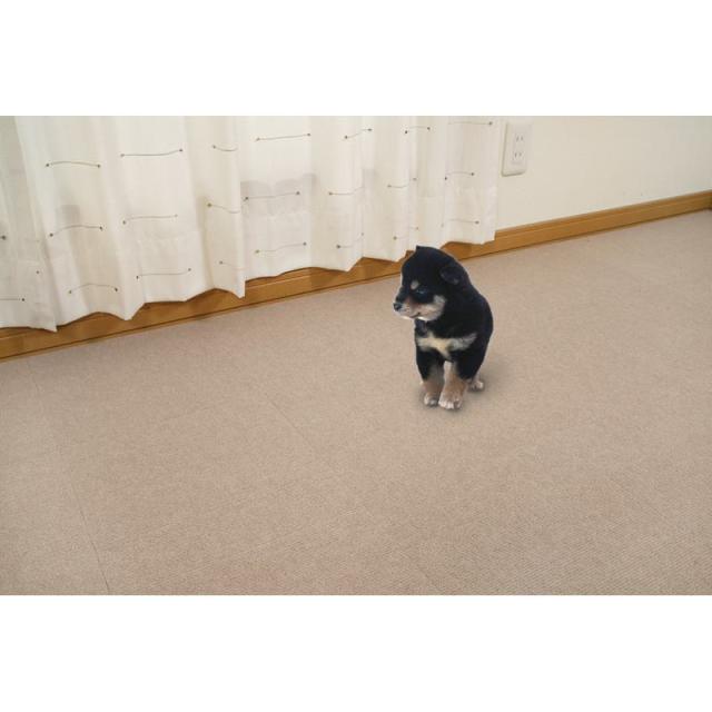 【ケース販売】 サンコー 犬 ペット用撥水タイルマット 同色20枚入 BE(1袋20枚入×12袋セット)