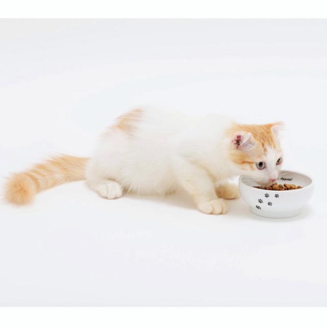 【セット販売】 ハッピーダイニング 猫用 脚なしフードボウル 猫柄 (×10セット) 猫壱_5