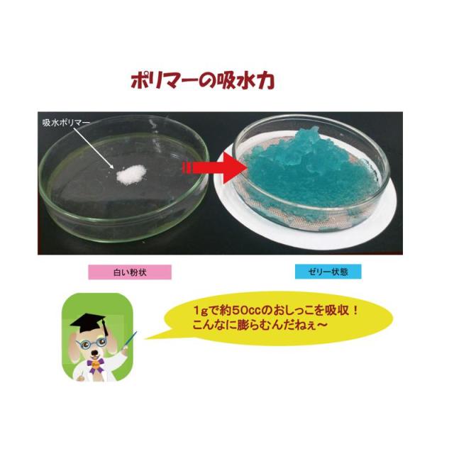 【ケース販売】 あんしんサラ・シート レギュラー 100枚 (×4セット) PAR-654 P.one 第一衛材 の通販は