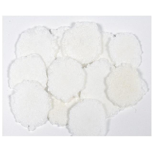 【セット販売】 いぬせん 特選ミルクいり 50g (×24セット) アラタ_2